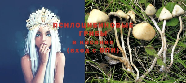 mdma Осинники